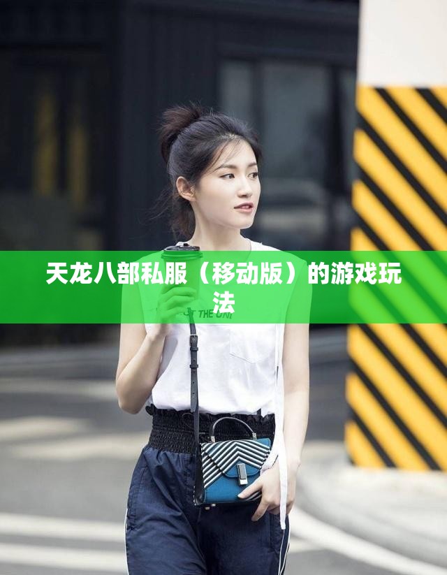 天龙八部私服(移动版)的游戏玩法 天龙八部私服(移动版)的游戏玩法
