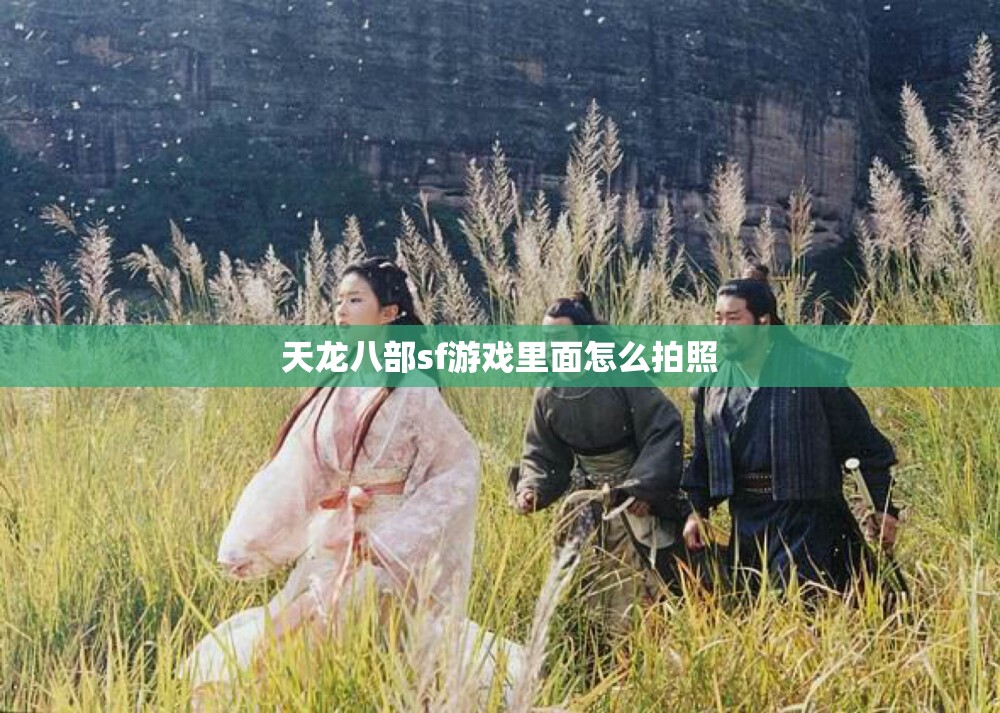 天龙八部sf游戏里面怎么拍照 天龙八部sf游戏里面怎么拍照