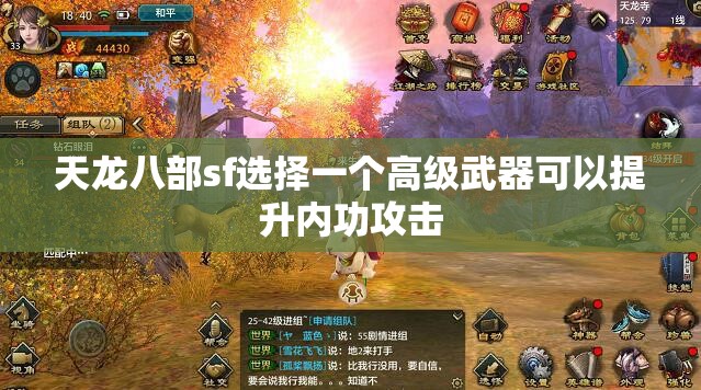 天龙八部sf选择一个高级武器可以提升内功攻击 天龙八部sf选择一个高级武器可以提升内功攻击